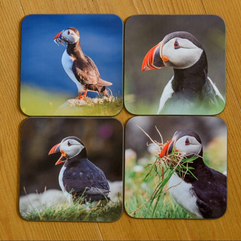 A set of 4 Puffin Coasters