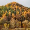Autumn Peak, Strathearn