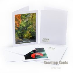 Handmade Greeting Card Pack – Christmas and Winter Pack 2 ( 5 cards)