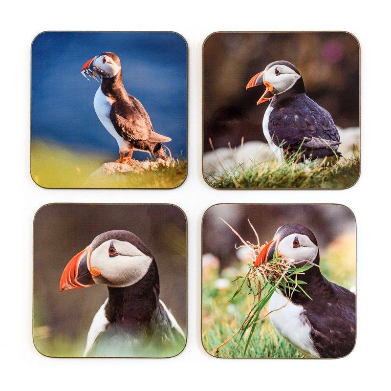 Puffin Coasters