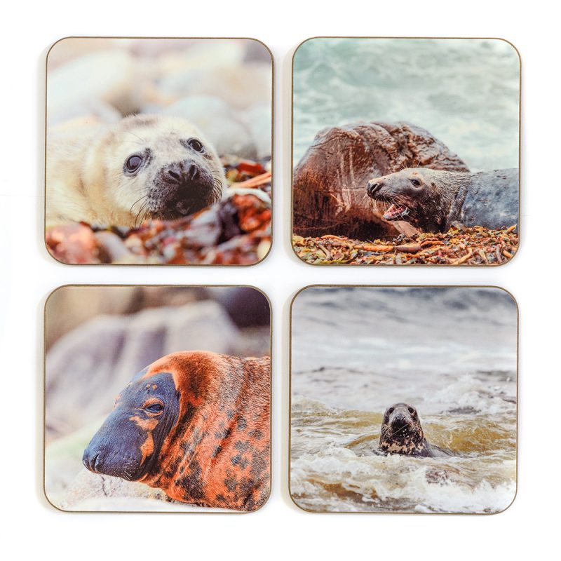 Seals Coasters - Set 2