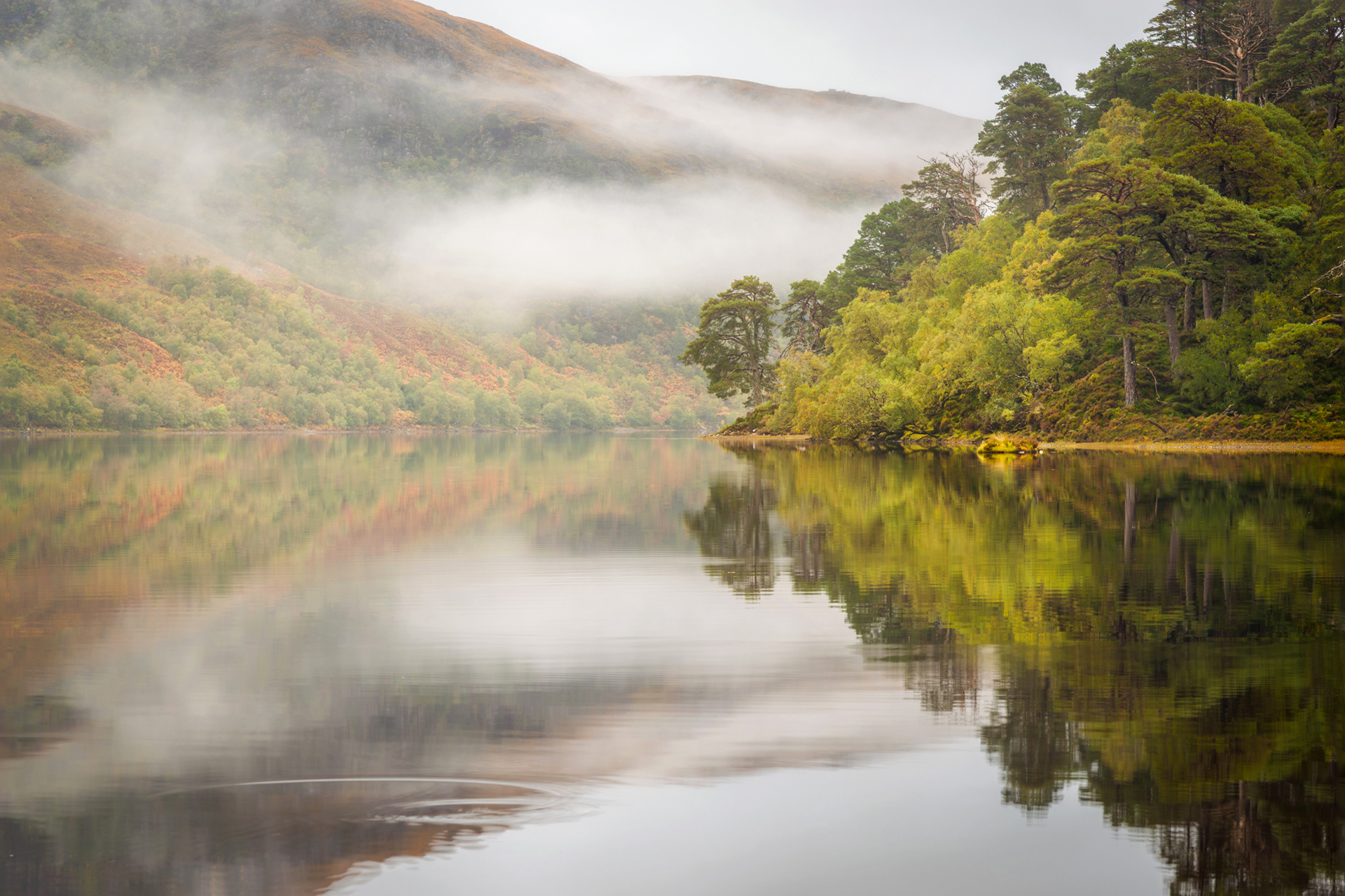 Autumn Reflections, Loch Clair