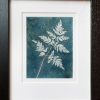 Anthriscus sylvestris- Cow parsley leaf - frame black
