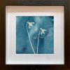 Galanthus nivalis - Snowdrops - Black frame