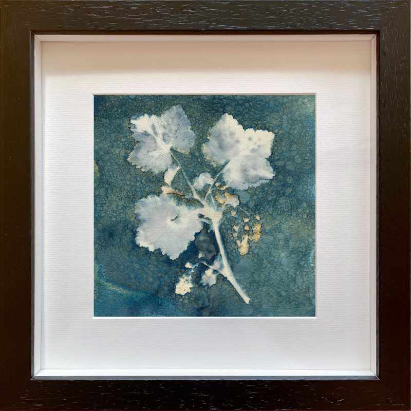 Redcurrant Branch with flowers - frame black