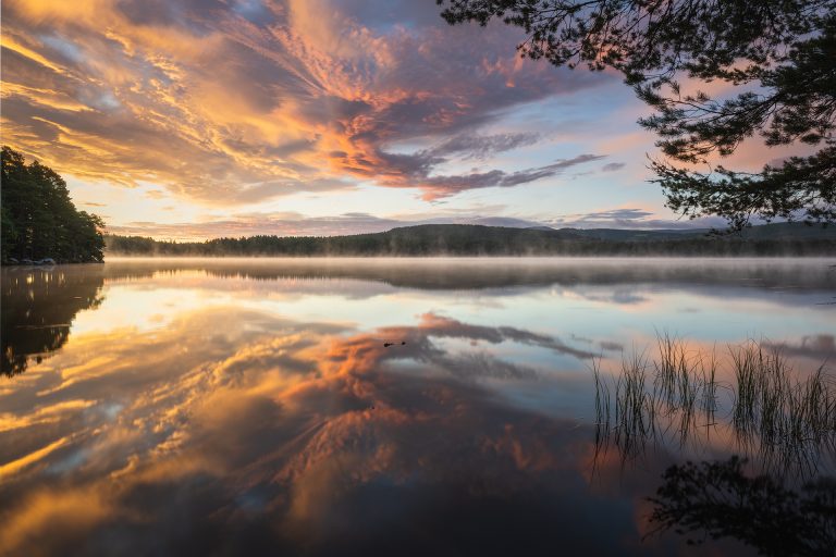 Loch Garten Sonnenaufgang, Cairngorms